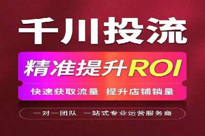 SEM广告投放的竞价策略与效果评估案例